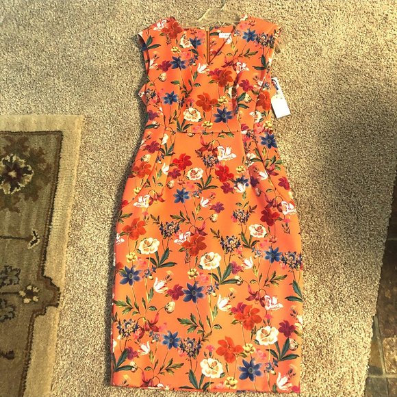 Gorgeous brand new Calvin Klein Dress - Picture 1 of 3